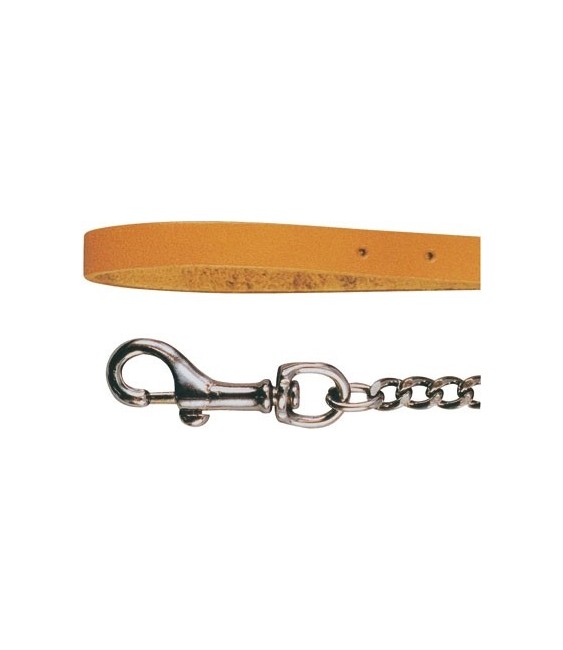 Laisse chaîne chromée pour chien - 113 cm