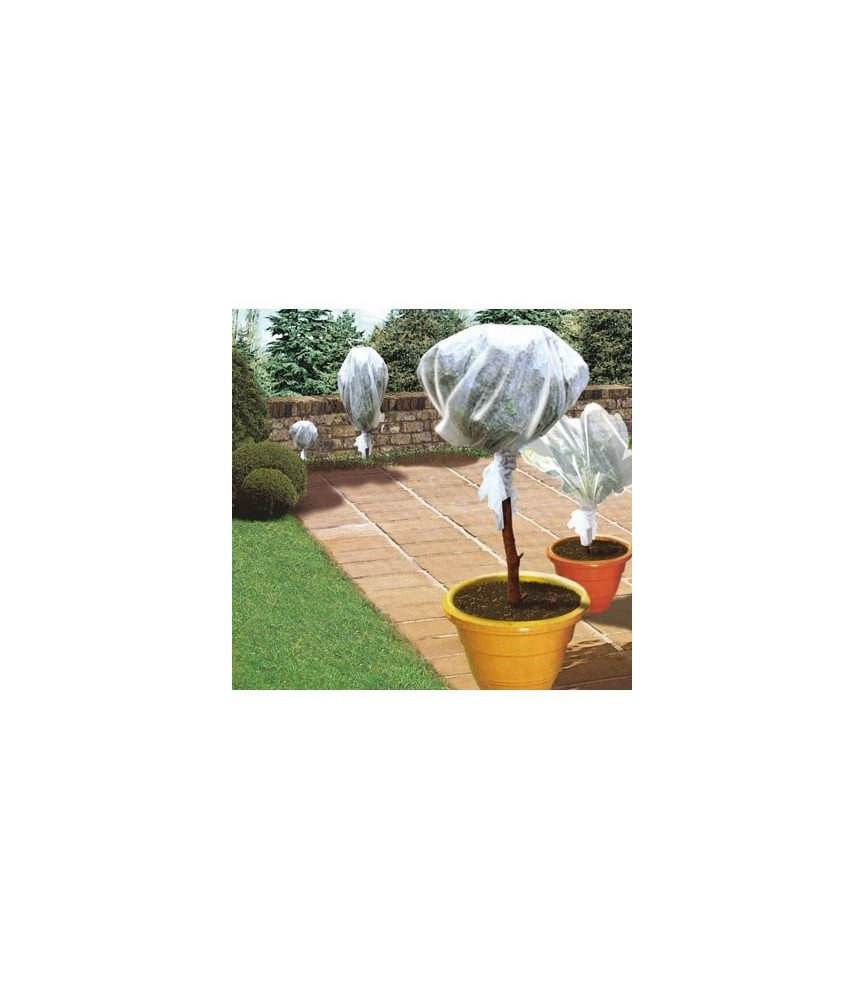Voile d'hivernage - 5 x 2 m - CAP VERT Voile d'hivernage - 5 x 2 m - CAP VERT
