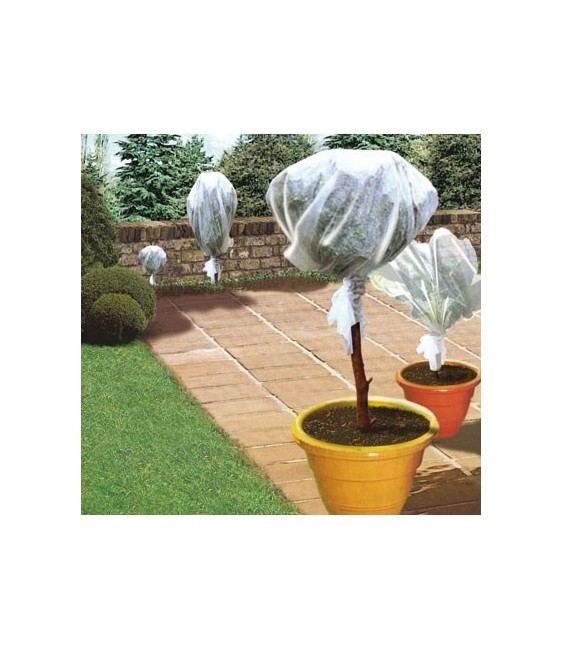 Voile d'hivernage - 5 x 2 m - CAP VERT
