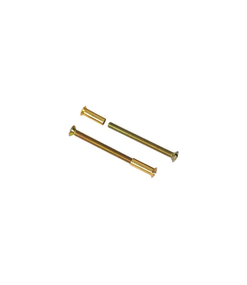 Vis + douille en laiton pour porte Vis + douille en laiton pour porte