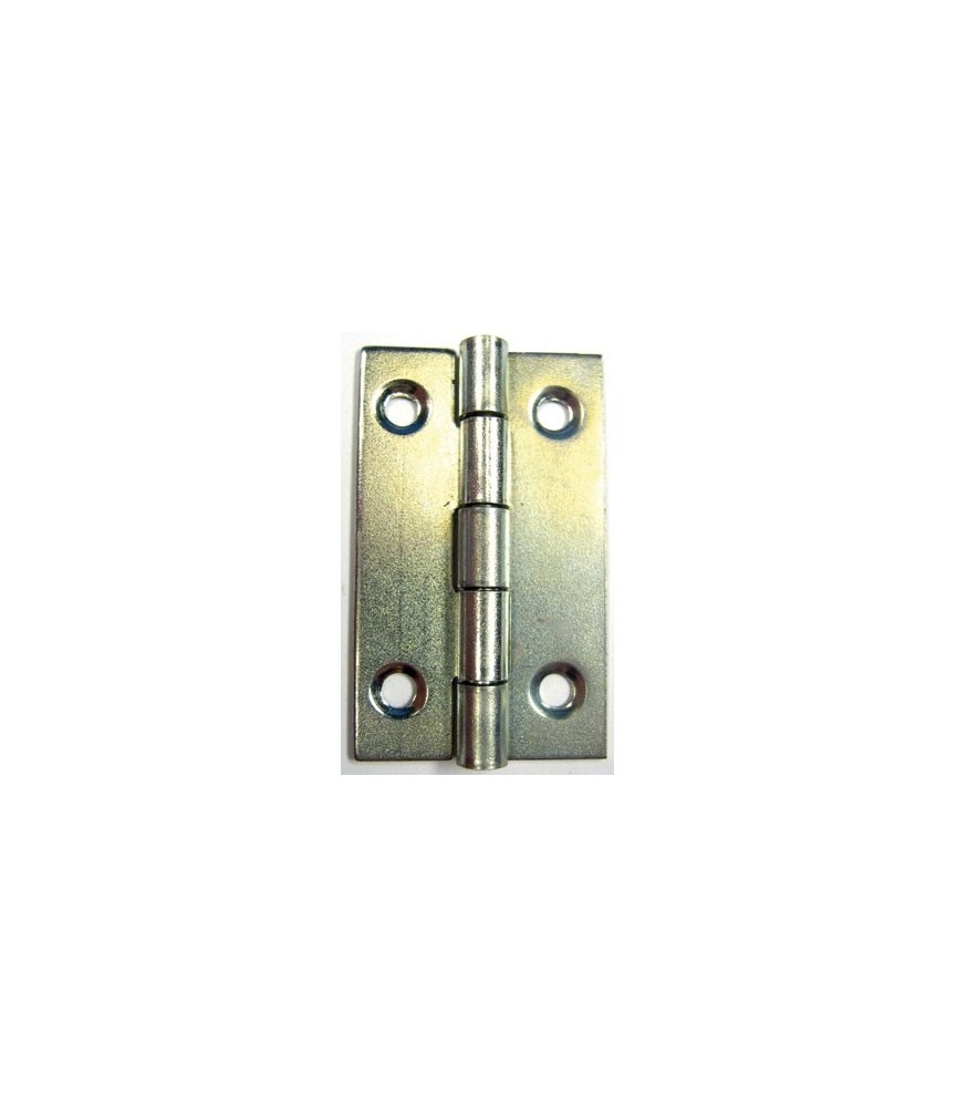 Charnière rectangulaire - 40 x 25 mm - Lot de 2 - STRAUSS