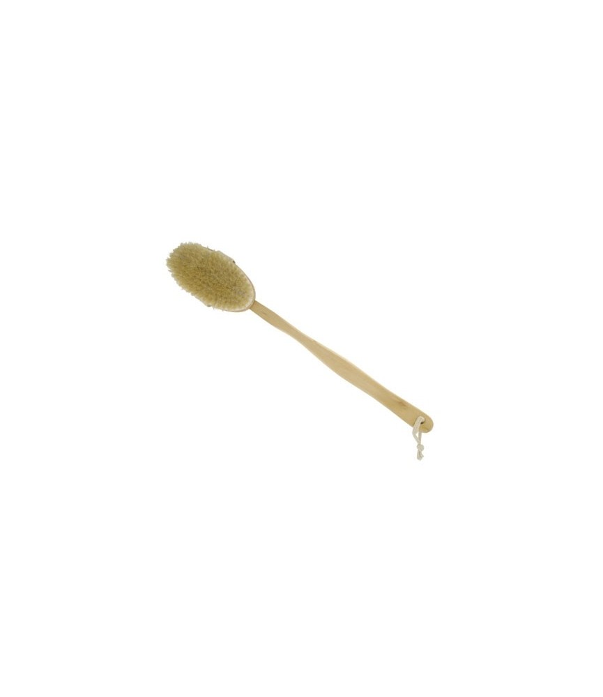 Brosse de bain en soie naturelle Brosse de bain en soie naturelle