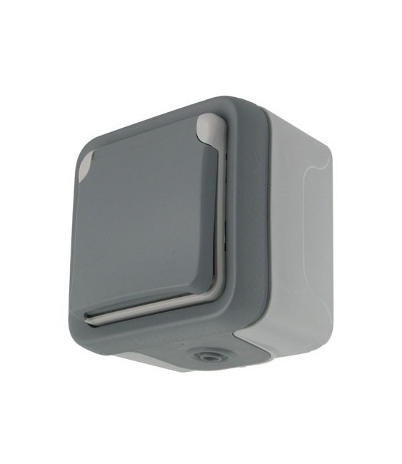 Interrupteur étanche Plexo Gris - 2P + T - 16A - LEGRAND
