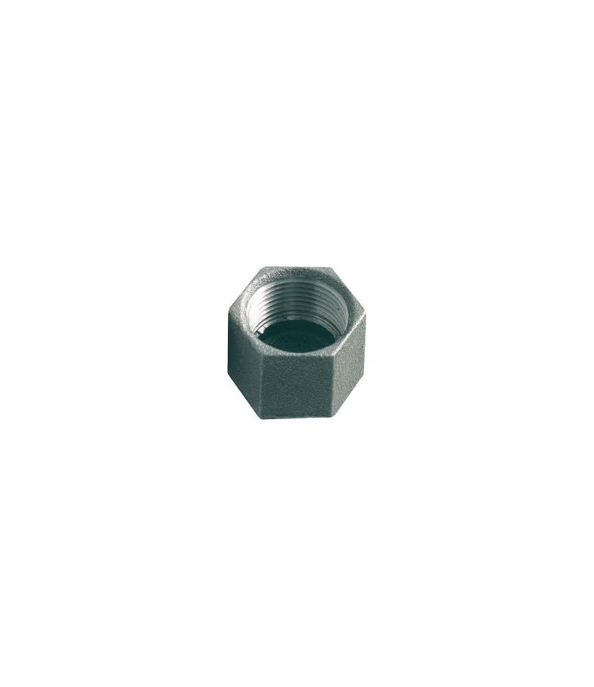 Bouchon hexagonal en fonte galvanisée Femelle 300 - 40 x 49 mm - CAP VERT