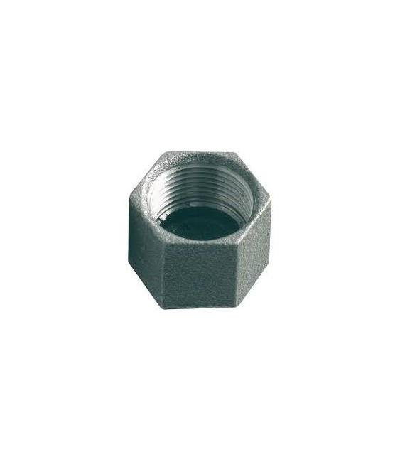 Bouchon hexagonal en fonte galvanisée Femelle 300 - 50 x 60 mm - CAP VERT