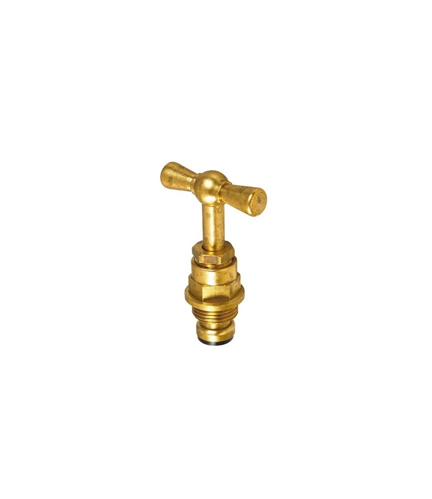 Tête de robinet en laiton - Filetage standard - 12 x 17 mm - NEPTUNE Tête de robinet en laiton - Filetage standard - 12 x 17 mm - NEPTUNE