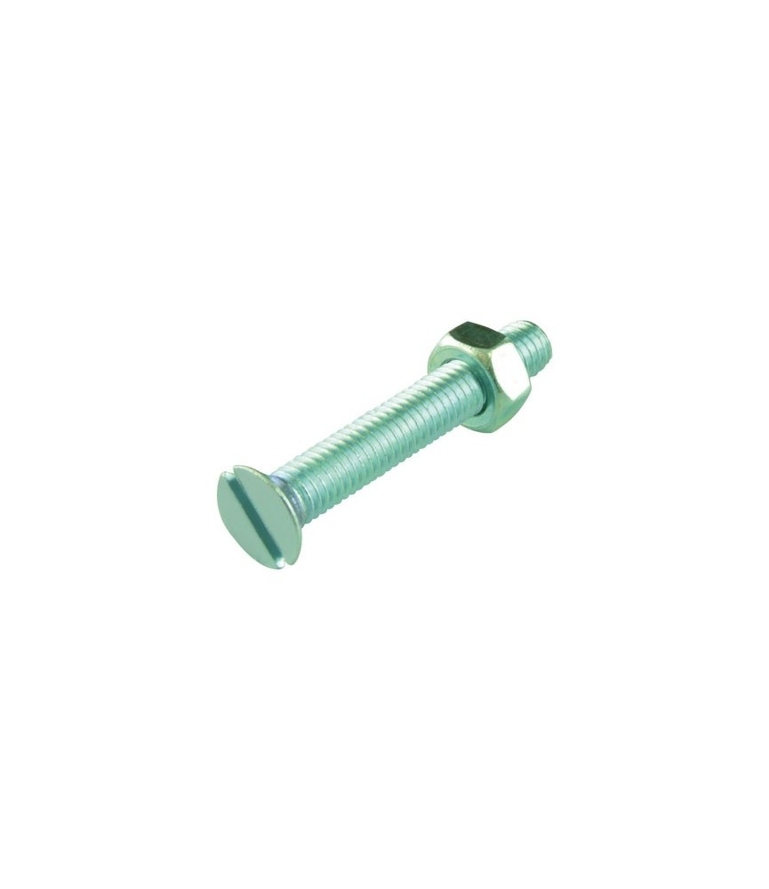 Boulon tête fraisée fendue acier zingué - 5 x 40 mm - Lot de 6 - FIX'PRO Boulon tête fraisée fendue acier zingué - 5 x 40 mm - Lot de 6 - FIX'PRO