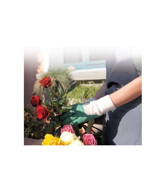 Gants pour rosiers - Qualité supérieure - T9 - CAP VERT