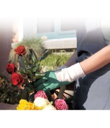 Gants pour rosiers - Qualité supérieure - T8 - CAP VERT