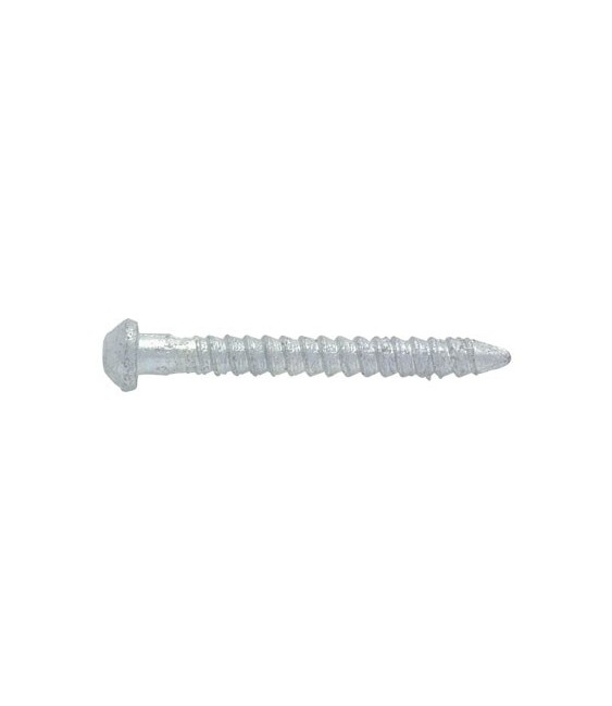 Vis à bois tête ronde fendue à bourrer - 6 x 60 mm - Lot de 100