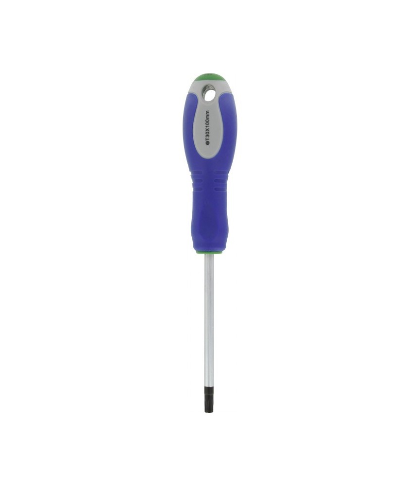 Tournevis étoilé - Torx percé - T30 x 100 mm - OUTIBAT