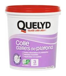 Colle pour dalle et plafond - 1 Kg - QUELYD