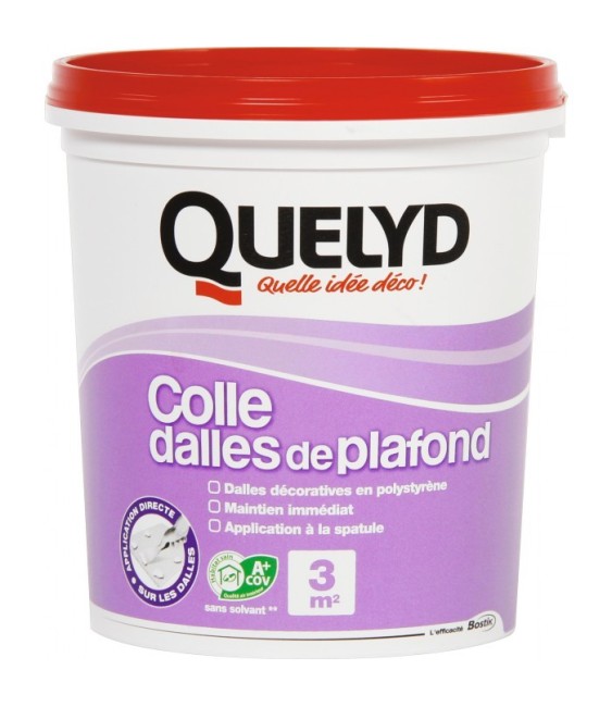 Colle pour dalle et plafond - 1 Kg - QUELYD