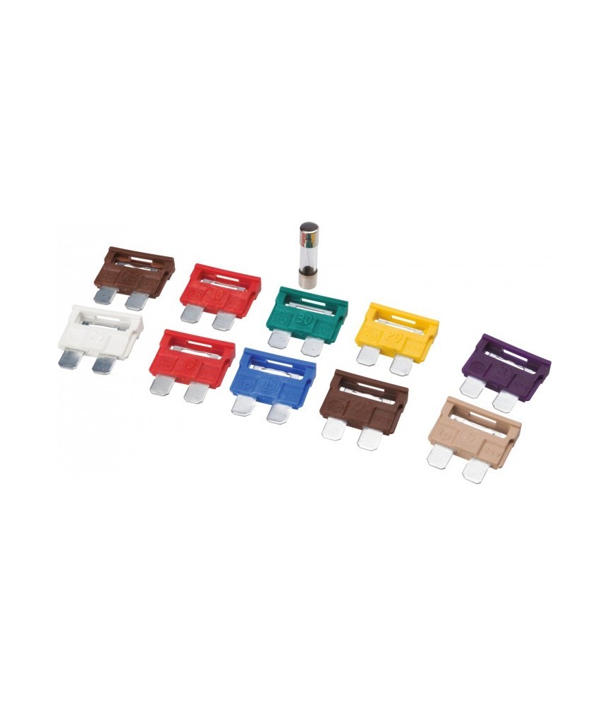 Assortiment de 10 fusibles enfichables pour automobile