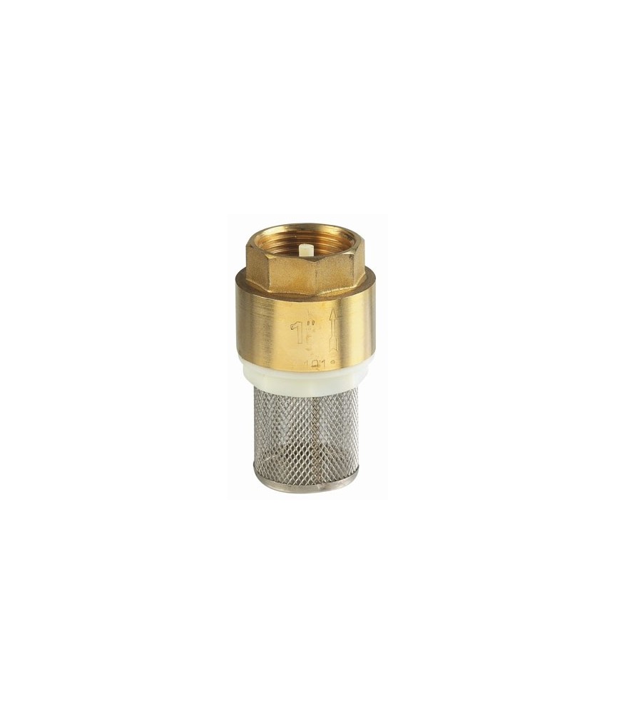 Crépine Femelle en laiton pour pompe - 40 x 49 mm - CAP VERT