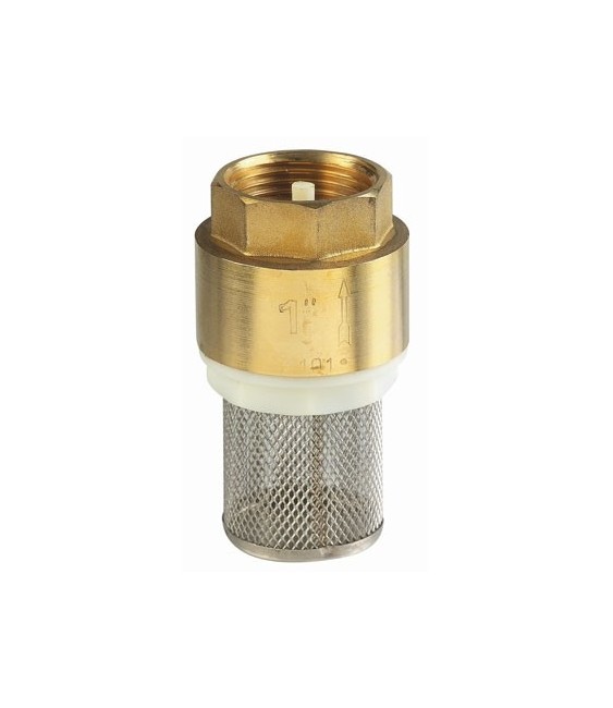 Crépine Femelle en laiton pour pompe - 40 x 49 mm - CAP VERT