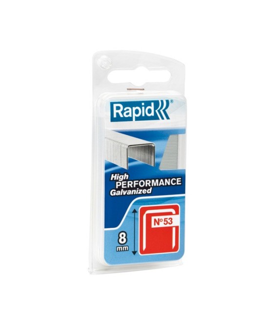 Agrafes décoration et finition N°53 - 10 mm - Lot de 1080 - RAPID