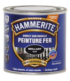 Peinture Fer Direct sur rouille Mat - Noir - 250 ml - HAMMERITE