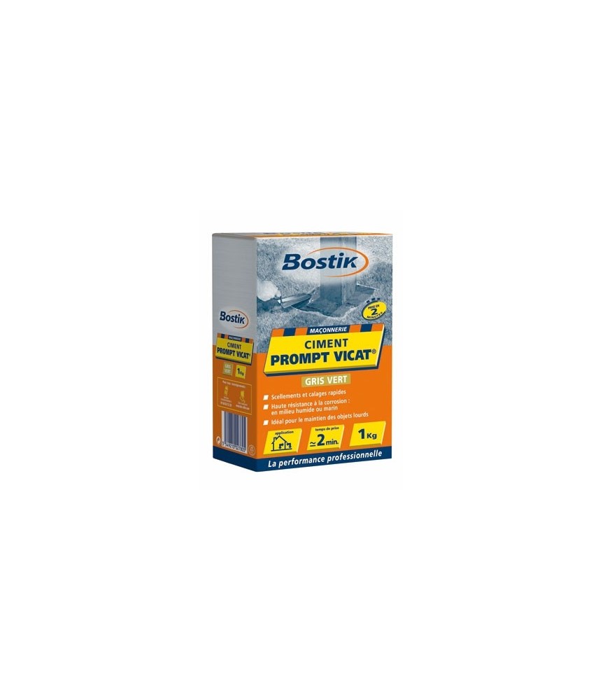 Ciment Prompt Vicat - Boîte de 1 Kg - BOSTIK Ciment Prompt Vicat - Boîte de 1 Kg - BOSTIK