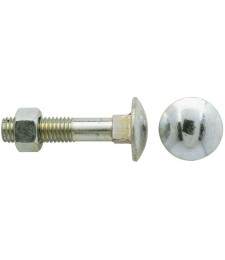 Boulon Japy tête ronde collet carré acier zingué blanc - Filetage partiel - 300 mm x 16 mm - Lot 10 - GFD