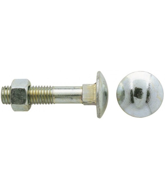 Boulon Japy tête ronde collet carré acier zingué blanc - Filetage partiel - 300 mm x 16 mm - Lot 10 - GFD