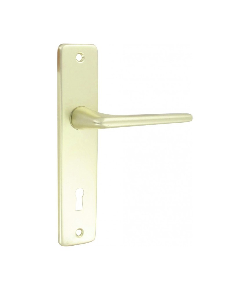 Poignée de porte - Aluminium Champagne - Entraxe 165 mm - DT 2000 Poignée de porte - Aluminium Champagne - Entraxe 165 mm - DT 2000