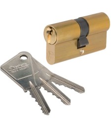 Cylindre 2 entrées V5 varié Laiton - VACHETTE