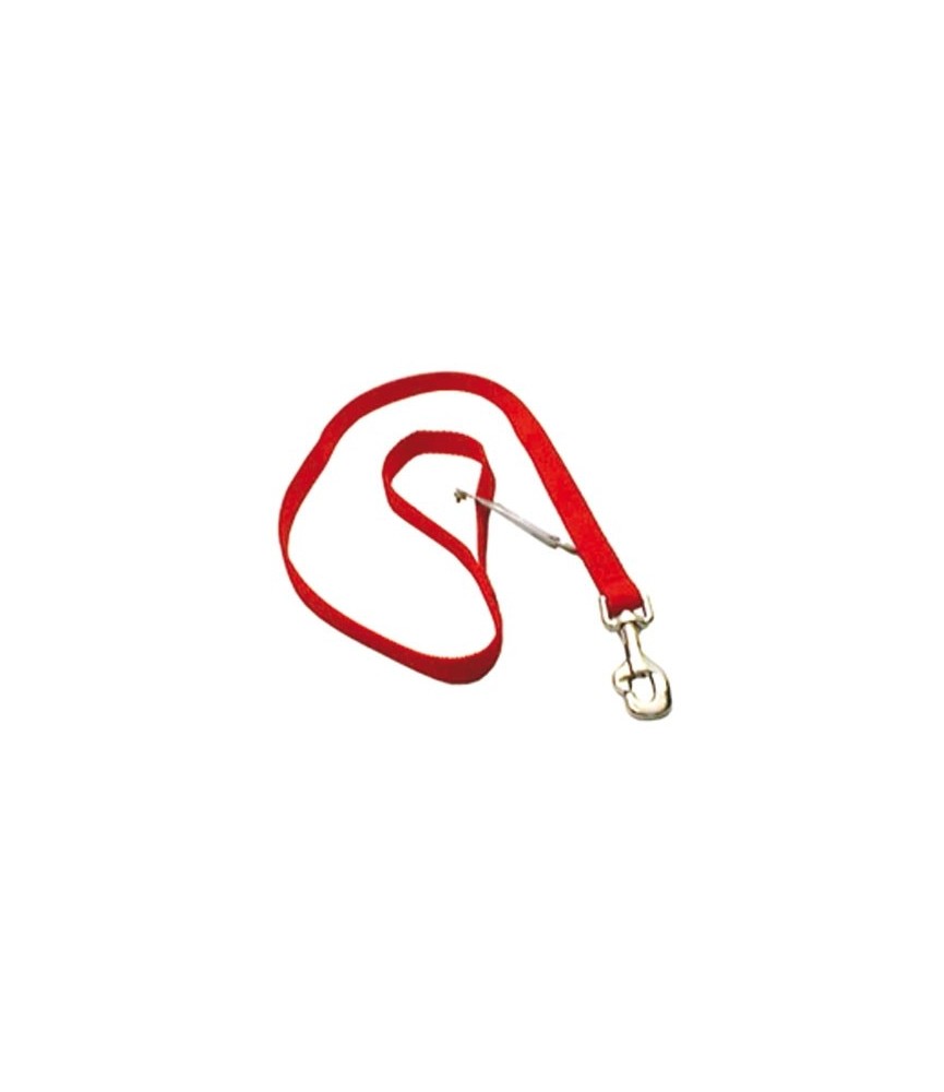 Laisse polypro rouge en nylon pour chien - ZOLUX Laisse polypro rouge en nylon pour chien - ZOLUX