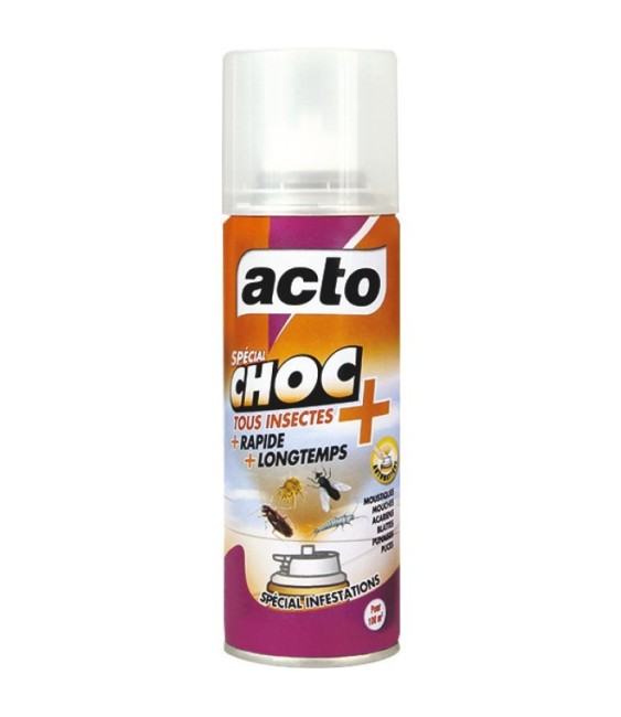 Aérosol choc tous insectes - Aérosol 100 ml - ACTO