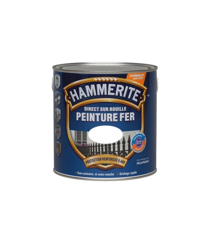 Peinture Fer brillant - Direct sur rouille - 2.5 L - Blanc - HAMMERITE