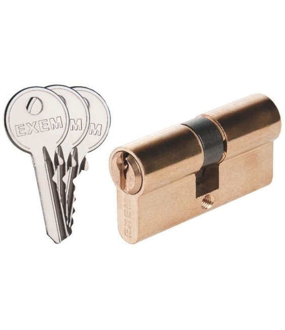 Cylindre 2 entrées Laiton 5G - Exem - 35X35 mm