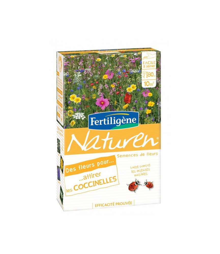 Prairie fleurie - Attire coccinelles - 60 gr - Naturen FERTILIGENE