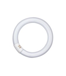Tube fluocompact circulaire Luminux T9 C 40 W - Blanc industriel - 4 000 K - OSRAM