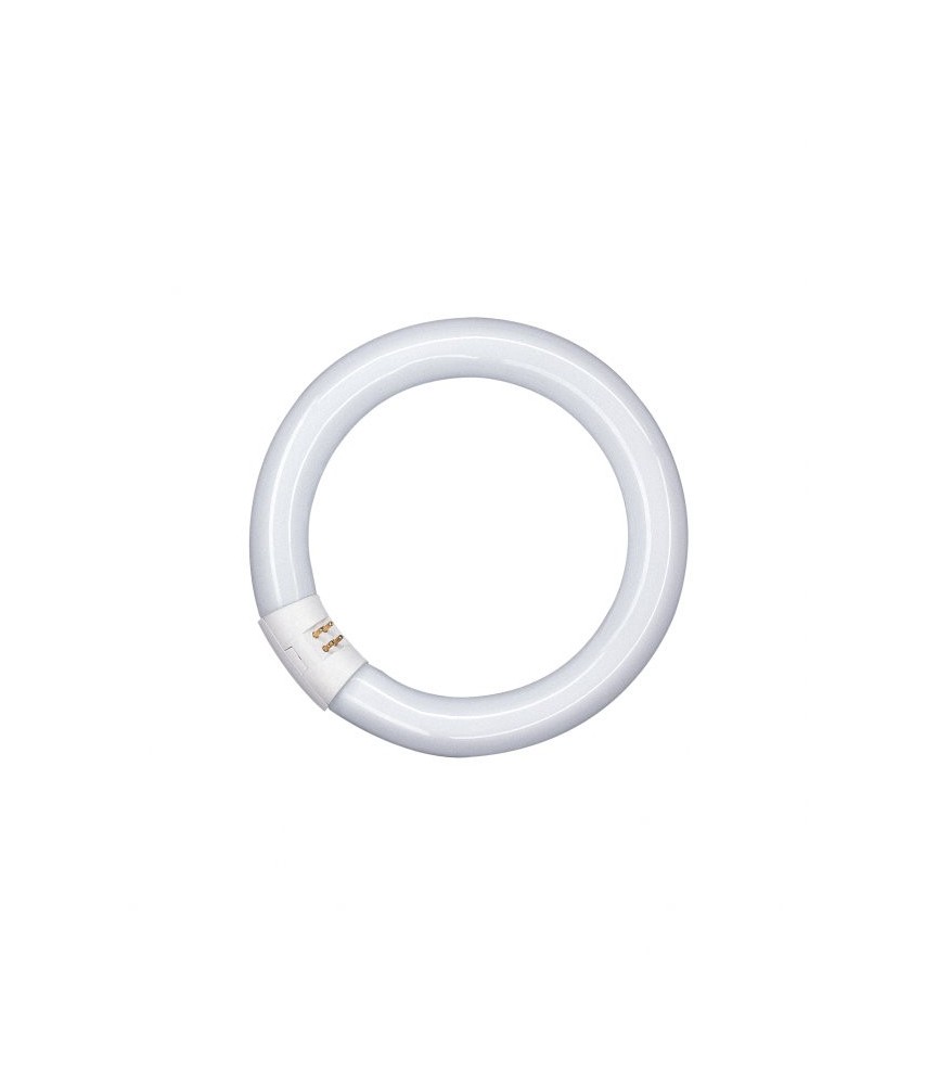 Tube fluocompact circulaire Luminux T9 C 40 W - Blanc industriel - 4 000 K - OSRAM