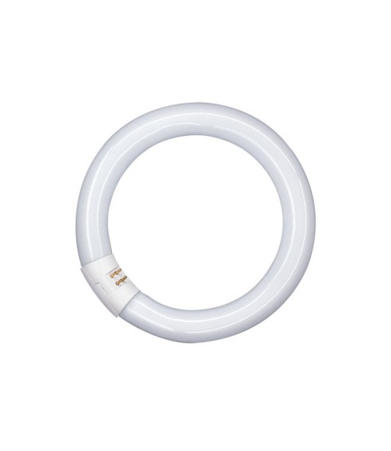 Tube fluocompact circulaire Luminux T9 C 40 W - Blanc industriel - 4 000 K - OSRAM