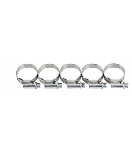 Collier à bande en Inox - 18 - 28 mm - 13 mm - Lot de 5 - CAP VERT