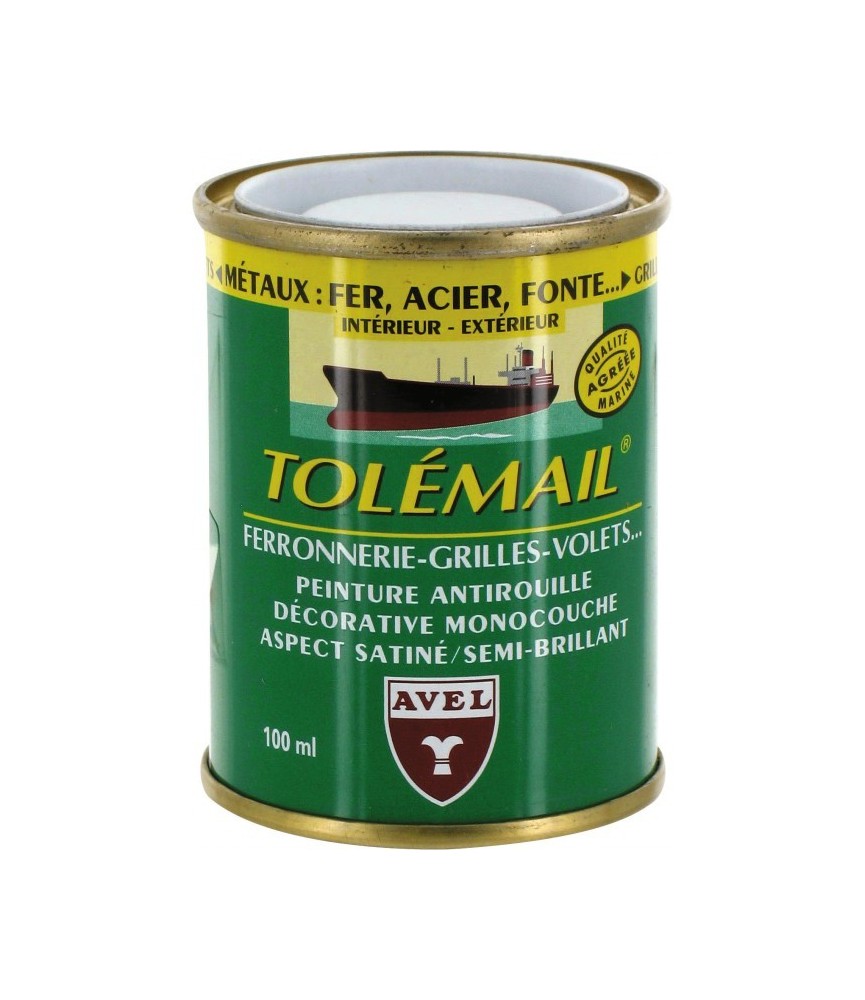 Peinture haute résistance - Ferronerie - Blanc - 100 ml - TOLEMAIL Peinture haute résistance - Ferronerie - Blanc - 100 ml - TOLEMAIL