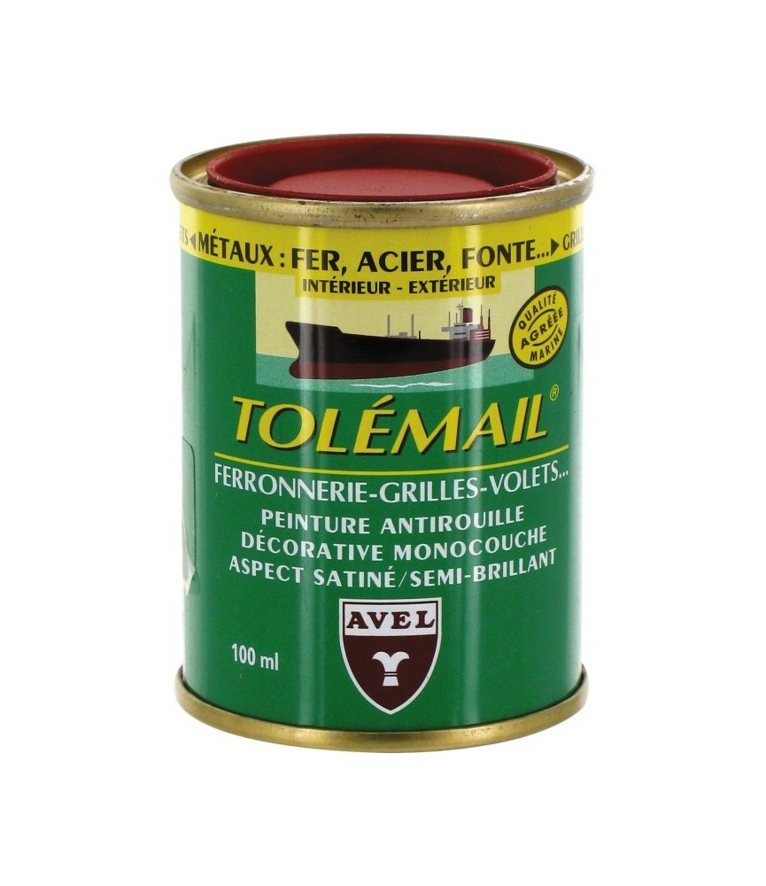 Peinture haute résistance - Ferronerie - Rouge vif - 100 ml - TOLEMAIL
