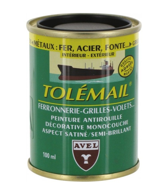 Peinture haute résistance - Ferronerie - Noir - 100 ml - TOLEMAIL