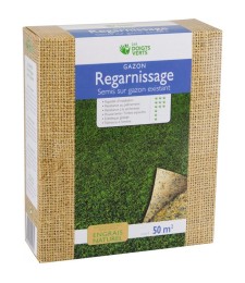 Gazon regarnissage - 50 m² - 0.5 Kg - LES DOIGTS VERTS