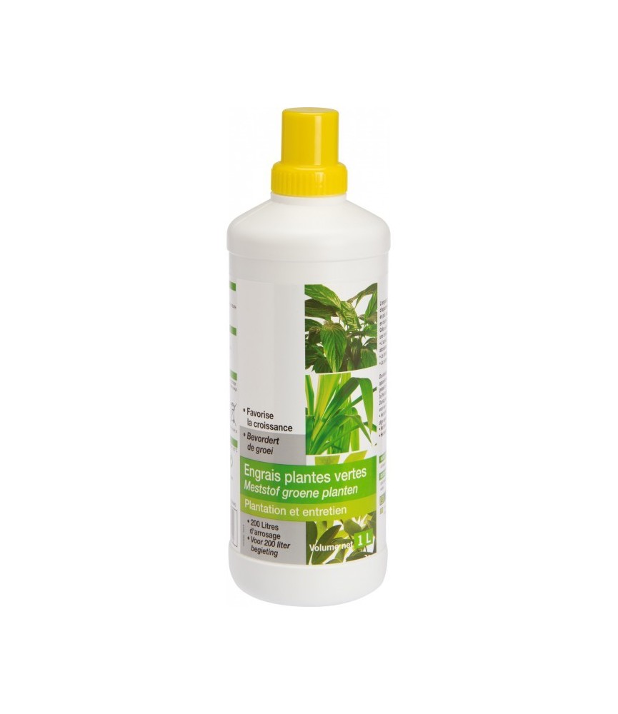 Engrais liquide pour plantes vertes - 1 L - FLORENDI Engrais liquide pour plantes vertes - 1 L - FLORENDI