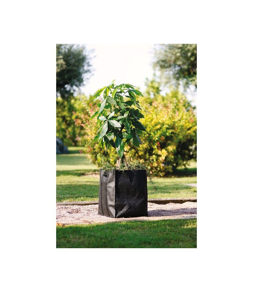 Poche de plantation en géotextile - Planter Bag - 68 cm - CATRAL