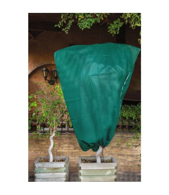 Housse d'hivernage en polypropylène - Non tissé - 2 m - Lot de 2 - CATRAL