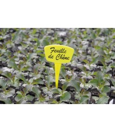 Repères en polypropylène pour plantations - 15 cm - Lot de 10 - CATRAL