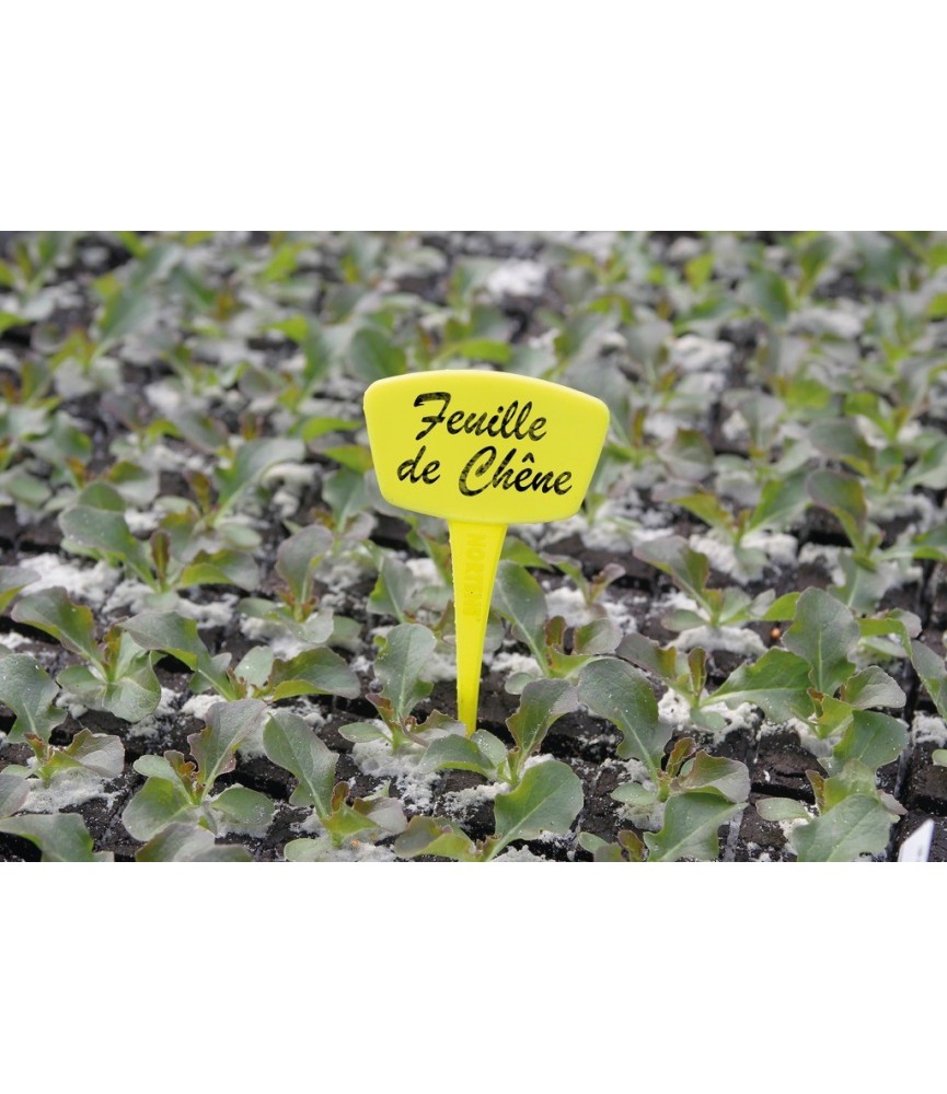 Repères en polypropylène pour plantations - 15 cm - Lot de 10 - CATRAL Repères en polypropylène pour plantations - 15 cm - Lot de 10 - CATRAL