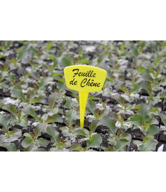 Repères en polypropylène pour plantations - 15 cm - Lot de 10 - CATRAL