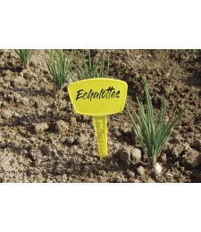 Repères en polypropylène pour plantations - 30 cm - Lot de 5 - CATRAL