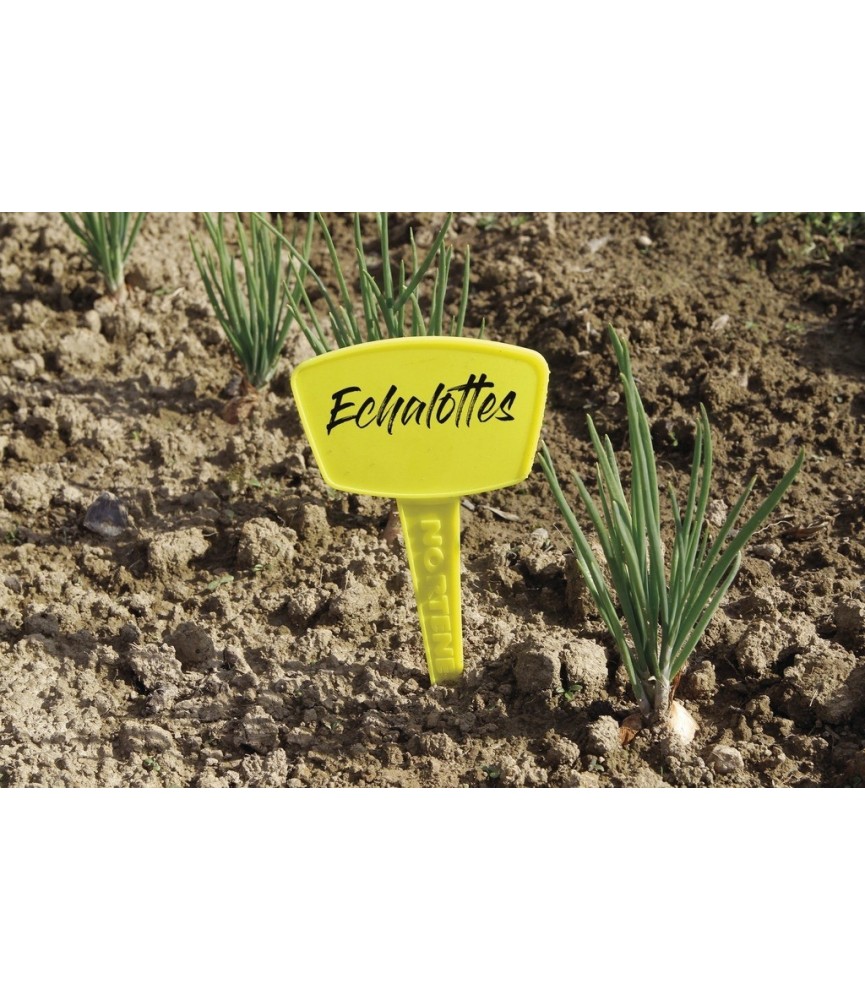Repères en polypropylène pour plantations - 30 cm - Lot de 5 - CATRAL Repères en polypropylène pour plantations - 30 cm - Lot de 5 - CATRAL