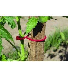 Clip de fixation pour plants de tomates - Lot de 25 - NORTENE