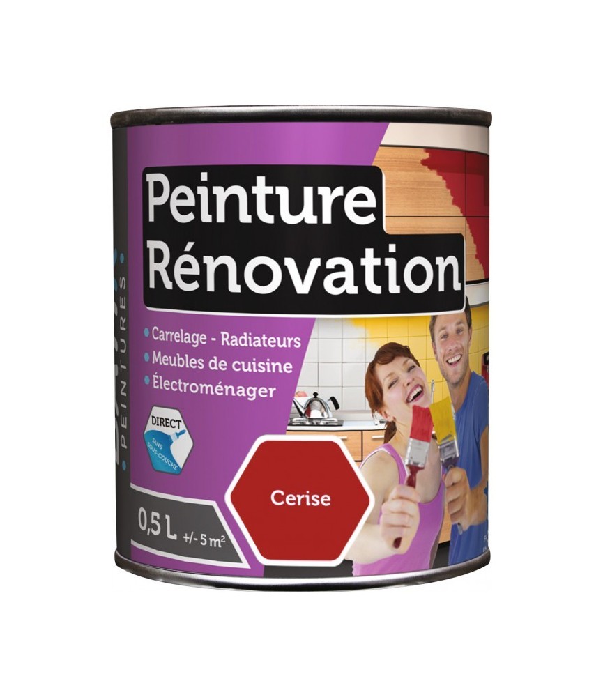 Peinture multi-surfaces - Rénovation - 0.5 L - Cerise - BATIR